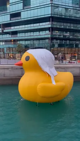 A giant duck on the canal